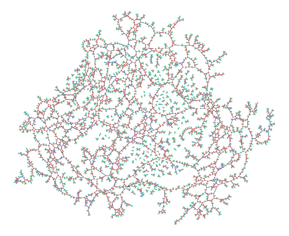 The topology of an ER tubular network is represented by a connectivity graph.